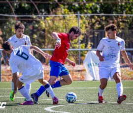 EL BURGO FUENTES